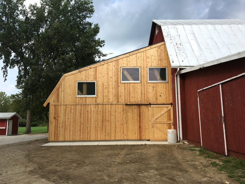 Our project at White Star Park made the News!